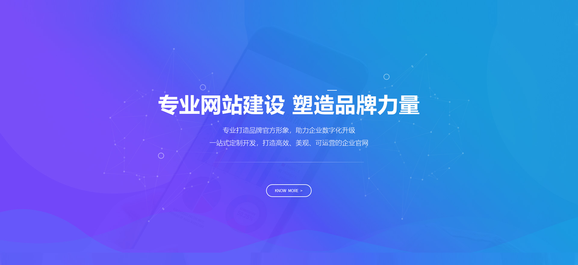 万宁建站-专业网站建设 塑造品牌力量