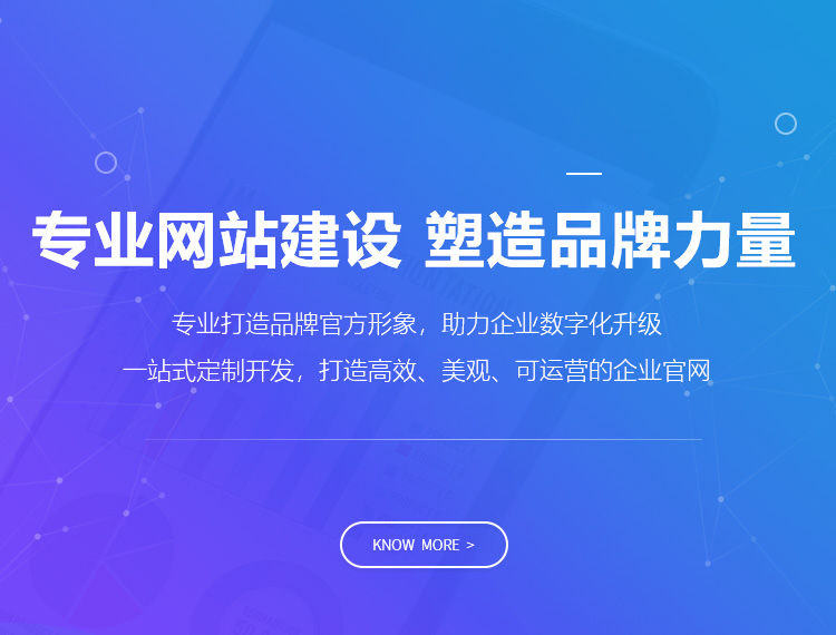 万宁建站-专业网站建设 塑造品牌力量
